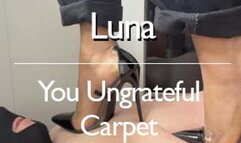 You Ungrateful Carpet
