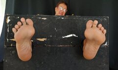 Lots of feather tickling on the feet of a goddess (1)