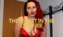 The Secret in the Lingerie