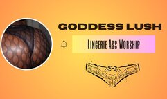 Lingerie Domination: Worship My Perfect Ass
