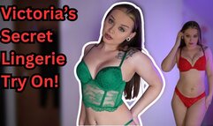 NSFW Lingerie Try on Haul 3