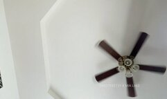 You’re the smallest tiny I’ve ever seen