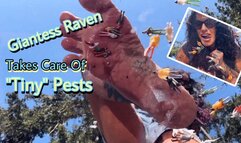 GIANTESS RAVEN TAKES CARE OF “TINY” PESTS