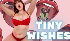 Tiny Wishes WMV