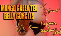 Mango Bubble Tea Belly Gurgles WMV