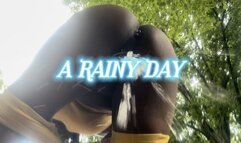 A Pissy Rainy Day