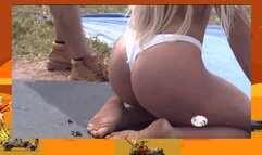 afogando o ganso  mad max fury road parody   panico na tv