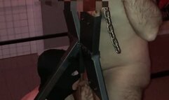 Frusta e omosessualità forzata