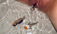 Fake Fish in My Pussy