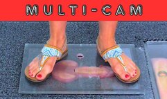 Crushed Under My Filthy Summer Sandals & PlexiGlass - Feet Cam - AmbersCBT - 71FC