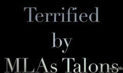 Terrified by MLAs Talons