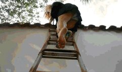 Shoe Hunter 33 AVI (1920x1080) FHD