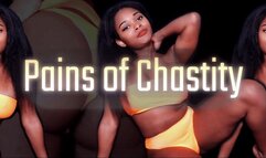Pains of Chastity