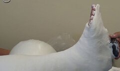 Cailla slwc making and go home