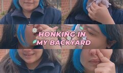 Honking In My Backyard