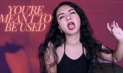 You're Meant to Be Used