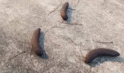 Beautiful high heels crush and trample fruits (3)