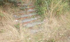 Bound and Gagged and left by the roadside to struggle MOV version