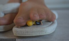 Tiny Slave caught between my nylon stinky foot and sandal while trampling his face as giantess