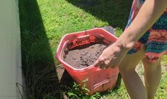 Fifi loses her patent nude heels in a container of sticky deep mud replay