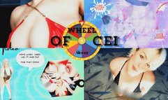 WHEEL OF CEI