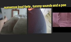 NUMEROUS LOUD FARTS TUMMY SOUNDS AND A PEE