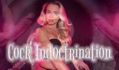 Cock Indoctrination