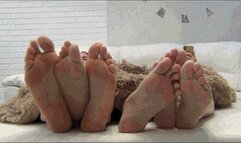 6 legs from under the blanket