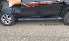 Fruit CRUSH And TIRE SPINNING Fun