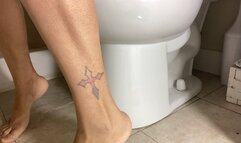 The daily dumps #366 mp4