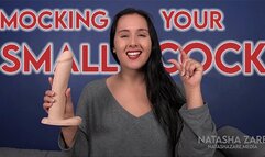 Girlfriend Mocks Your Cock