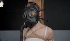 EMshibari aoao undercover agent part1