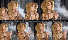 Short curly hair, Marlboro red, double pumps, glossy lips and leopard catsuit close up!