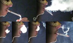 Smoking St Moritz menthol