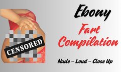 Pixelated Ebony Fart Compilation