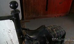 Saddling Up A Big Cock In My Arse - 1080