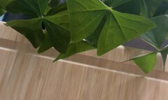 NAILS and JEWELRY Show!!