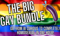 Bi Curious to Homosexual