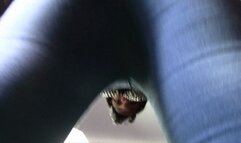 BRUNETTE SEX FARTING FOR YOU WITH A LOT OF CLASS AND HORNINESS part 1 BY ADRIANA CAM BY DANI FULL HD