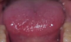 Sloane Swallows Tinies