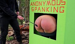 Coco cops the crop at the wood pile