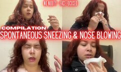 Spontaneous allergy sneezes and snotty nose blowing | compilation