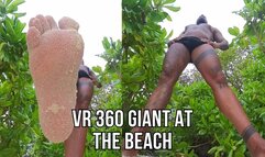360 VR unaware giant at the beach - Lalo Cortez