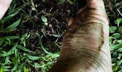Outdoor Dirty Feet