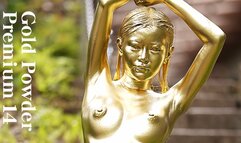 Gold Powder Premium 14 Uta Hibino