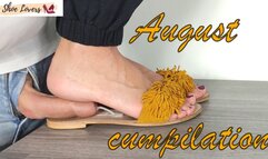 August 2024 cumpilation