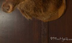 Come home and all over me - 1080