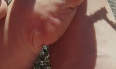 Pine tree spikes between My toes