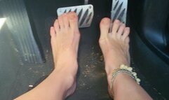 Sunny Barefoot Pedals In Seashell Anklet