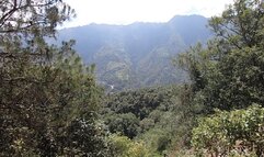 Girlfriend wished to make a blowjob and cum in mouth in nature